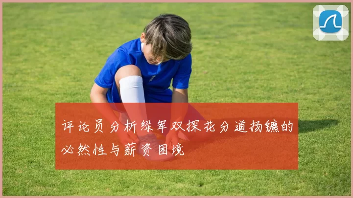 评论员分析绿军双探花分道扬镳的必然性与薪资困境
